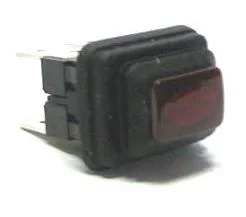 070163.00AV - INTERRUTTORE LUMINOSO 19X13 4C LUCE.FROG ROSS0