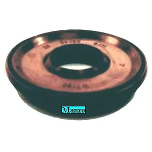 092565.00SL - ANELLO TENUTA 25X55/68X8/11