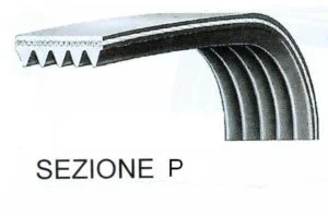 721144.03CY - CINGHIA RIGATA SEPH 1144-1145