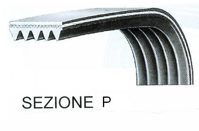 721144.03CY - CINGHIA RIGATA SEPH 1144-1145