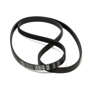 721228.00AV - CINGHIA RIGATA 1228 J5