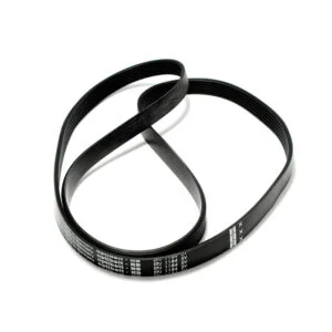 721235.00SL - CINGHIA RIGATA EL 1235 J=5PJ1239=PV1184J