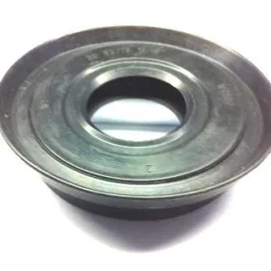 ANELLO TENUTA 30X62/75X10/16