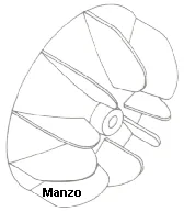 VENTOLA RAFFREDDAMENTO PHONO D.65MM FORO D.4MM