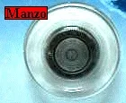 TESTINA RASOIO HQ167 V.286070.03