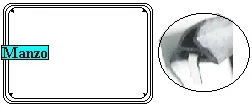 GUARNIZIONE PORTA FORNO 340X390 SZ.B