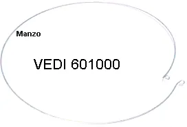 ANELLO FISS. VEDI.601000