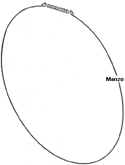 ANELLO FISS.OBLO'ANTER ELIMINATO