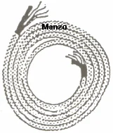 214863.05AV - CAVO X FERRO 4 FILI+TUBO D5/10 MT1