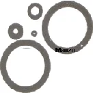 216390.00PS - GUARNIZIONE FERRO STIRO KIT 5PZ.