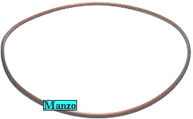 216391.00PS - GUARNIZIONE FERRO CALDAIA X 183628