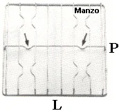 424121.12SM - GRIGLIA 4 FUOCHI 463X448