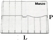 424128.12SM - GRIGLIA 3 FUOCHI 424X475