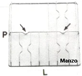 424147.12SM - GRIGLIA 3 FUOCHI 448X460