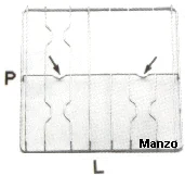 424148.12SM - GRIGLIA 3 FUOCHI 448X460
