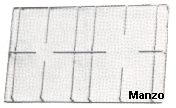 424862.12ZA - GRIGLIA 2 FUOCHI 452X277