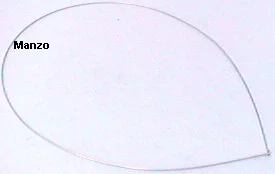 601451.00ME - ANELLO FISS.OBLO LB ANTERIORE