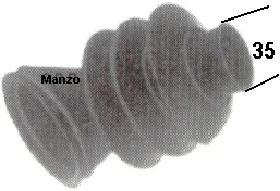 610052.00AE - CARICO DETERSIVO.DOMINA F/S